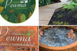 Cabañas Pewma Futrono