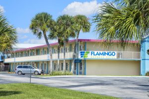 Flamingo Express