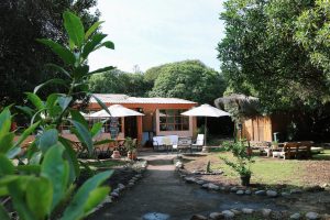 Hostal El Arbol