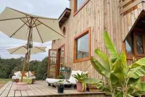 Hostal El Arbol Beach
