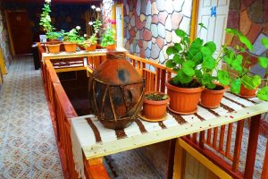 Hostal kalamarka