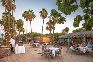 Hotel Restaurante Oasis