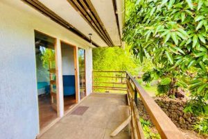 Mata Nui Hostel