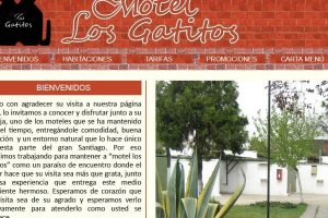 Motel Los Gatitos